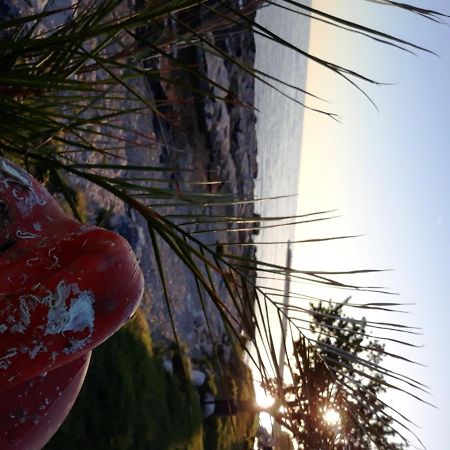 Apartments Bianca Lovrečica エクステリア 写真